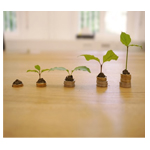 Noida Shopping Centre - Greater Noida West